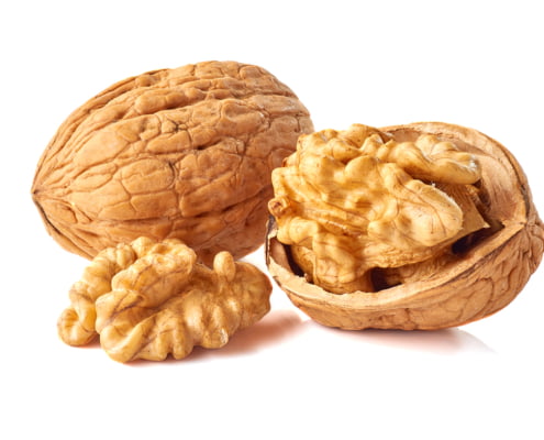 Walnut kernel and whole walnut isolated on white background